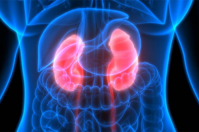 How-Diabetes-Affects-Your-Kidneys
