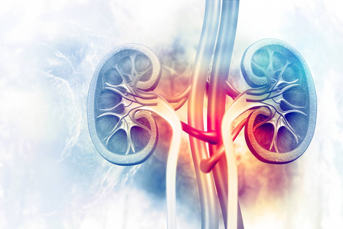 Image of Signs You May Have Kidney Disease