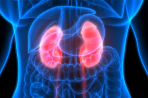 How Diabetes Affects Your Kidneys 