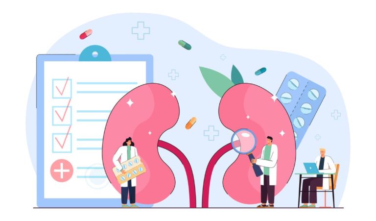 Doctors nephrologists examining patients kidney health