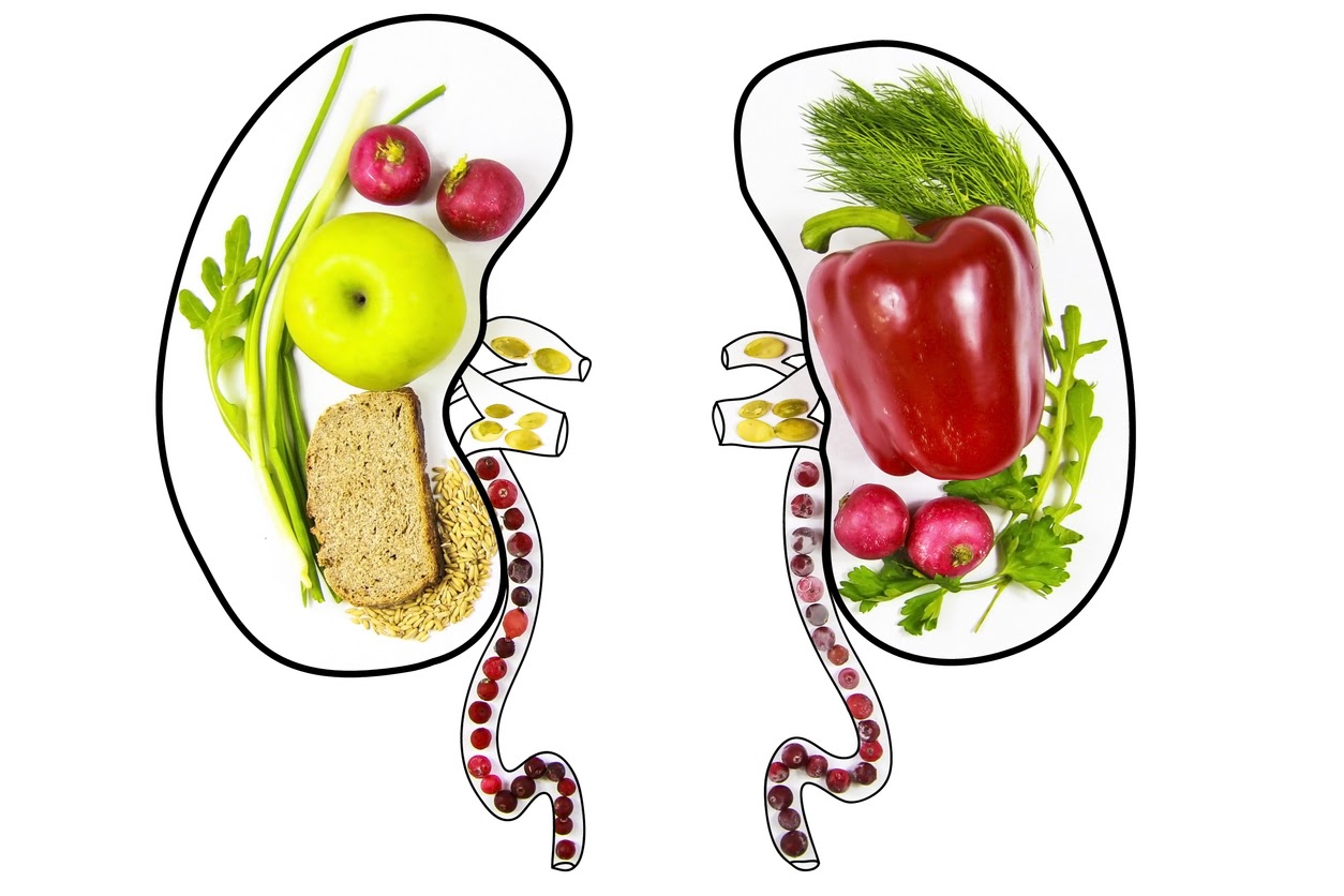 What Can I Eat on a Renal Diet?