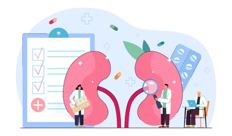 Doctors nephrologists examining patients kidney health